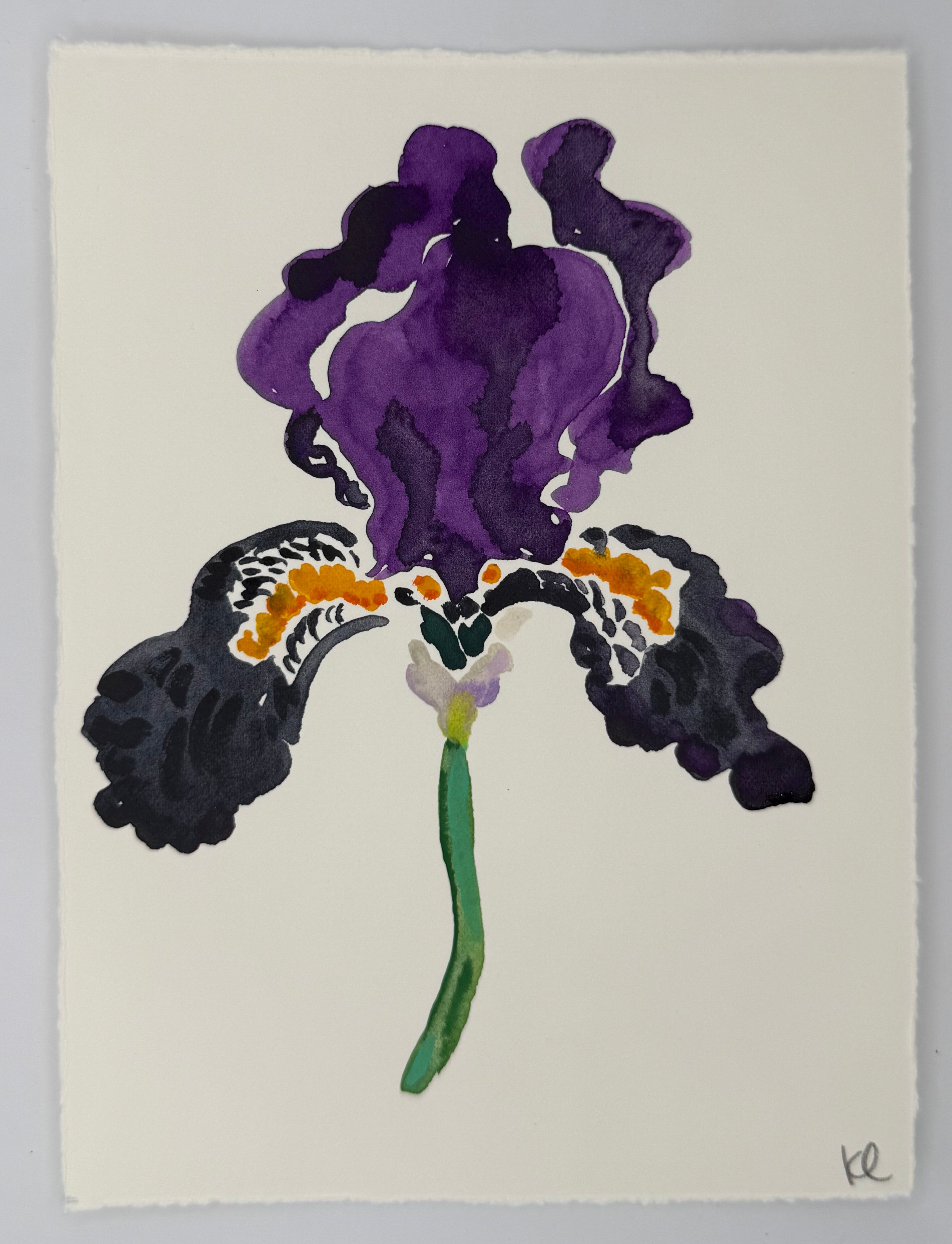 Artistic depiction of a purple flower on a white background