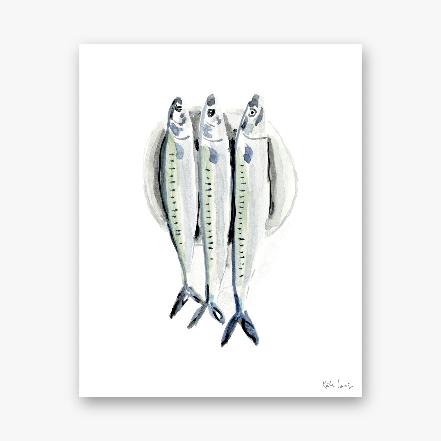 Anchovies by Kate Lewis