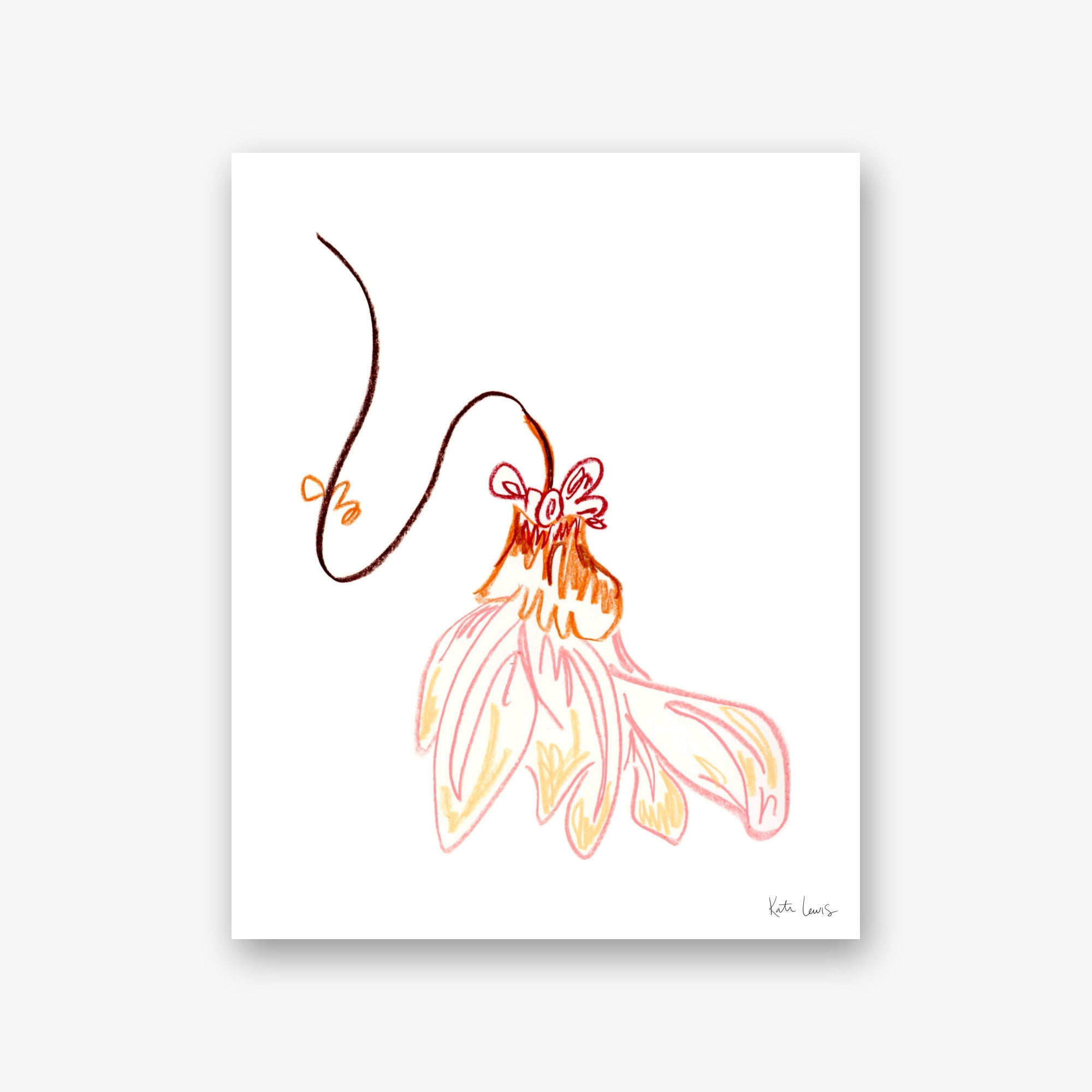 Coral Dahlia — art print by Kate Lewis