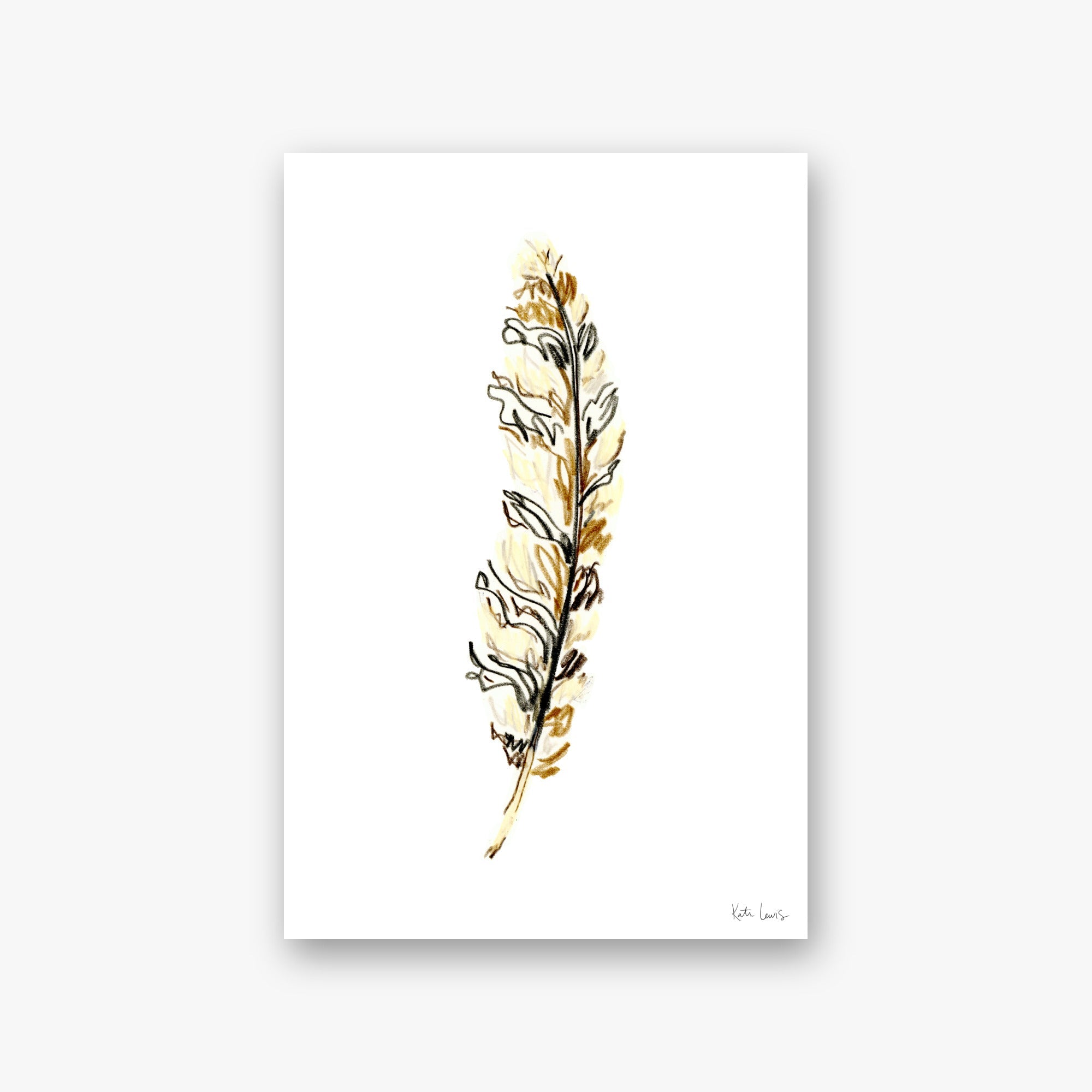 Feather Study II — art print by Kate Lewis