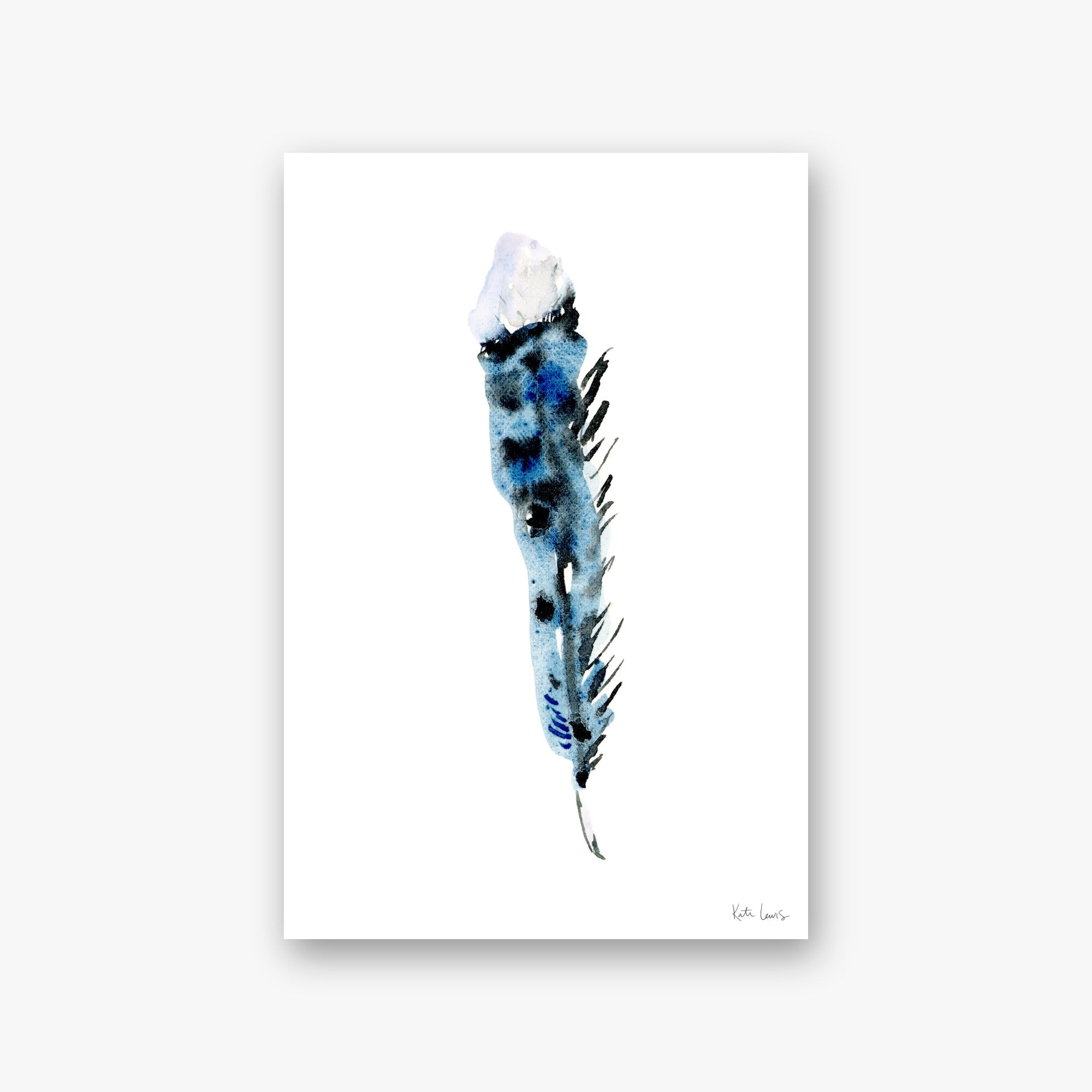 Feather Study IV — art print by Kate Lewis