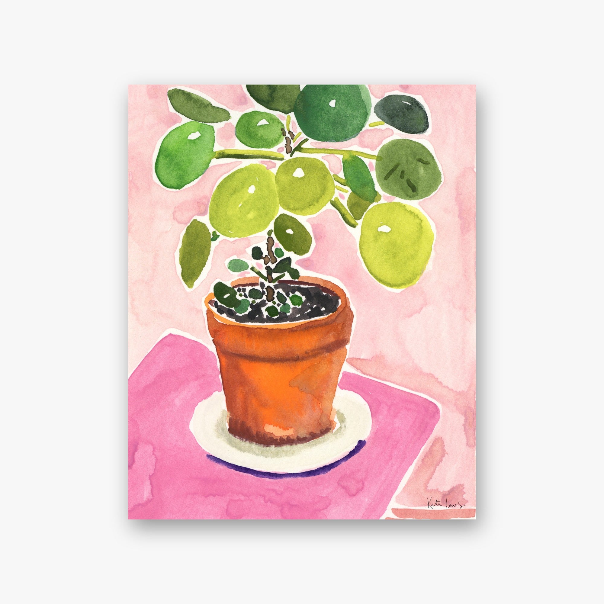 Pink Afternoon by Kate Lewis — Green Chinese money plant in a terracotta pot on a hot pink surface, loose watercolor.