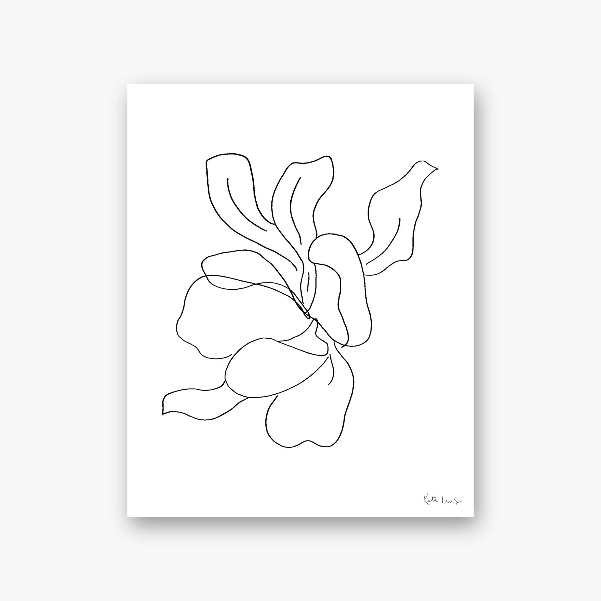 Magnolia in Bloom — art print by Kate Lewis