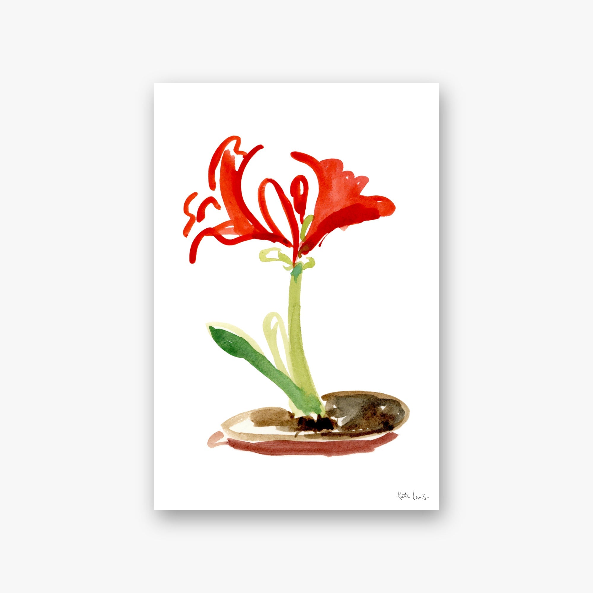 Winter Bloom — art print by Kate Lewis
